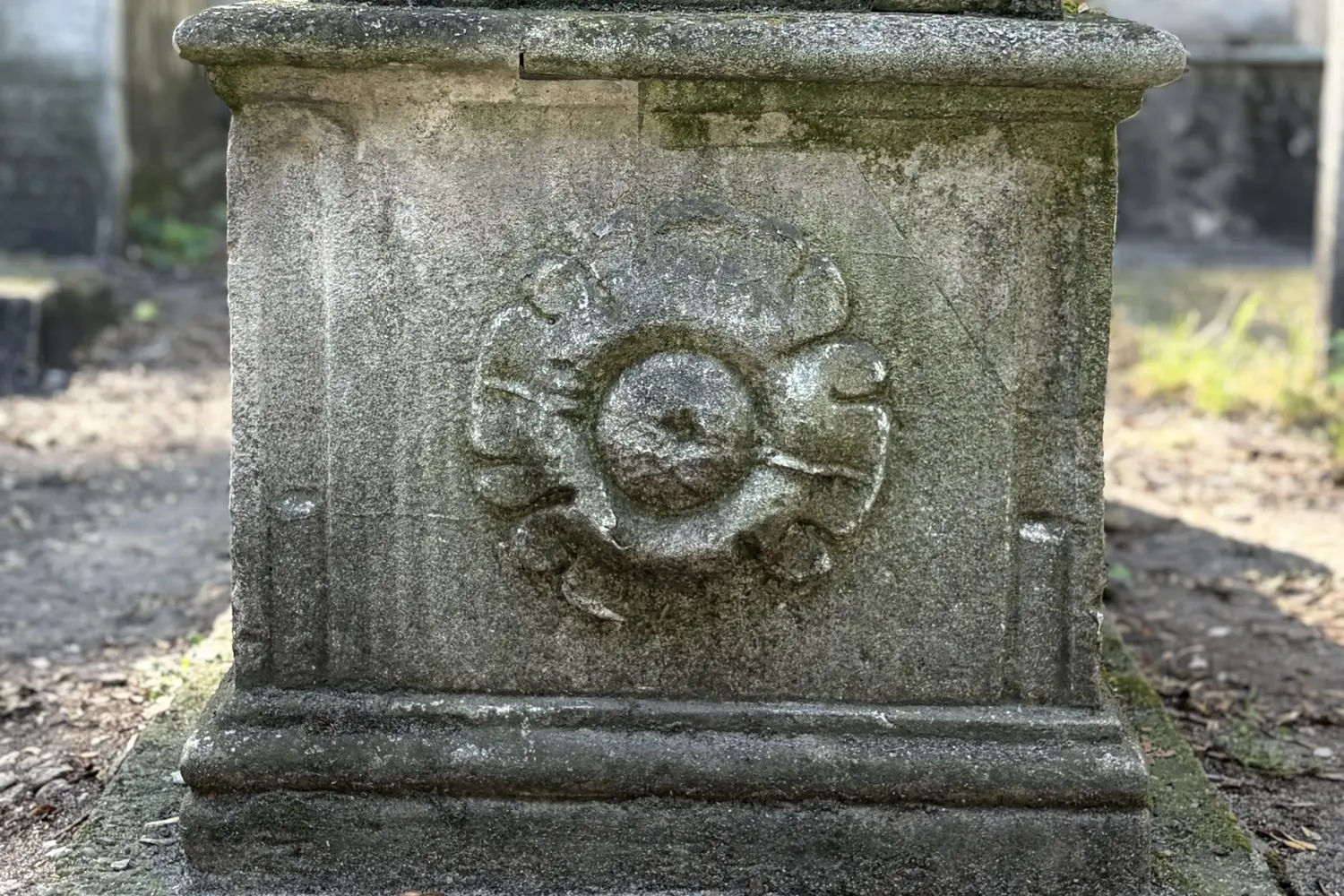 An ornamental rosette / floral medallion on a matzevah at the Remah Cemetery in Kazimierz