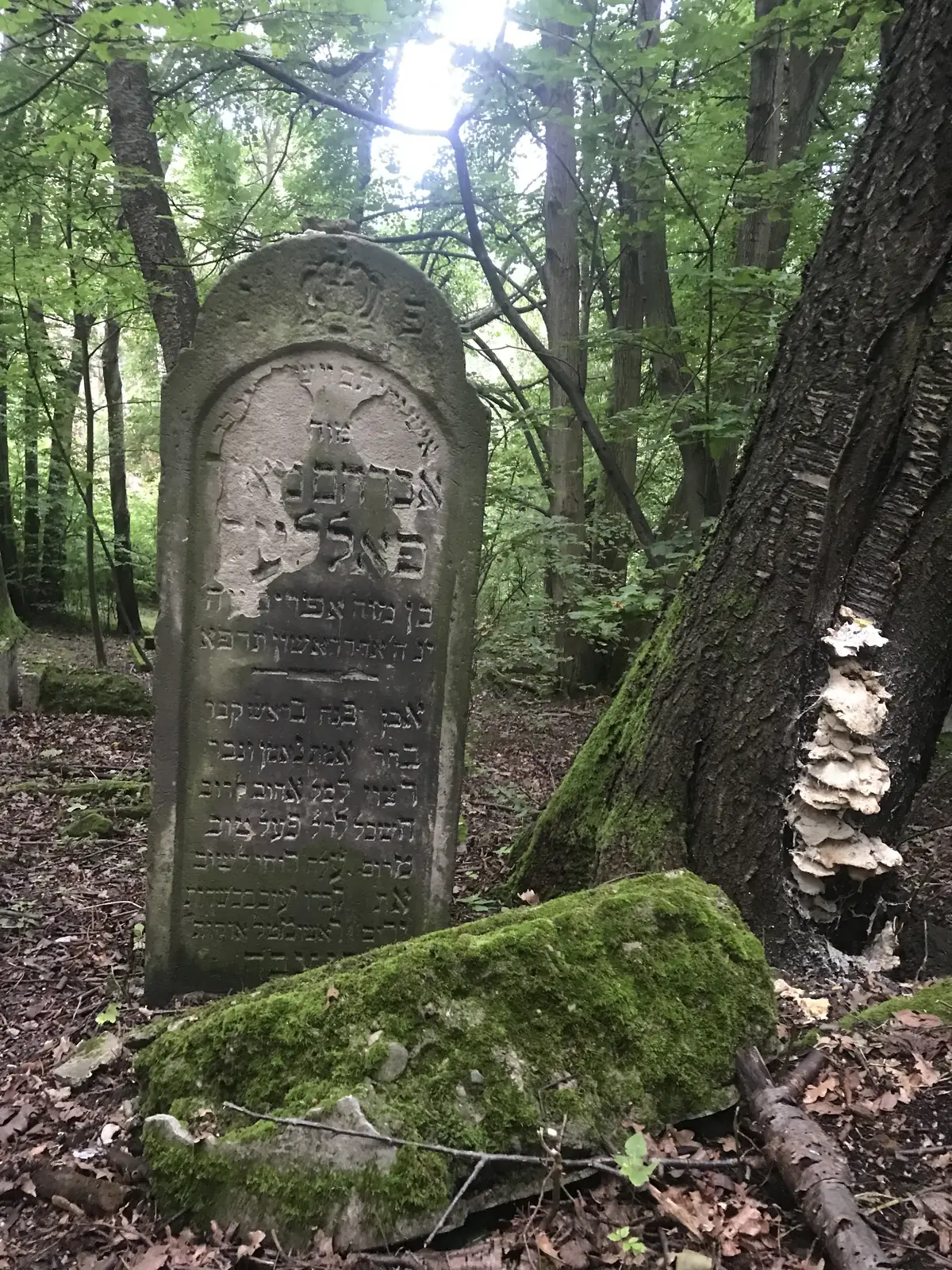 A matzevah with a crown and Hebrew inscription at a former Jewish cemetery in a forest in Poland